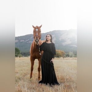 Dainty Jewells Evenings At Annesdale Dress